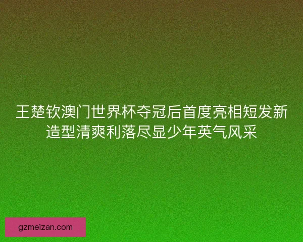 王楚钦澳门世界杯夺冠后首度亮相短发新造型清爽利落尽显少年英气风采 王楚钦澳门世界杯夺冠后首度亮相短发新造型清爽利落尽显少年英气风采
