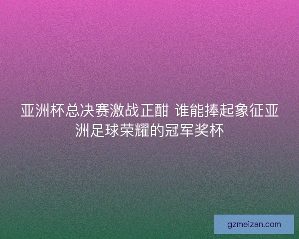 亚洲杯总决赛激战正酣 谁能捧起象征亚洲足球荣耀的冠军奖杯