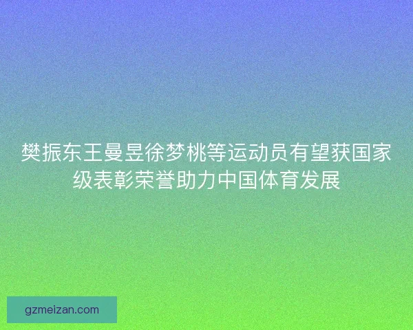 樊振东王曼昱徐梦桃等运动员有望获国家级表彰荣誉助力中国体育发展